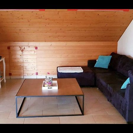 Groot Appartement Nabij Brugge Met Eigen Badkamer! Damme Εξωτερικό φωτογραφία
